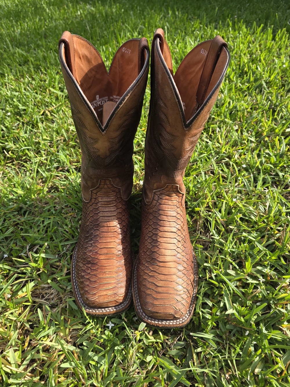Dan Post Mens Python Western Cowboy Boots Size 9D